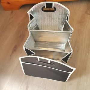 Collapsible Insulated Trunk Organizer